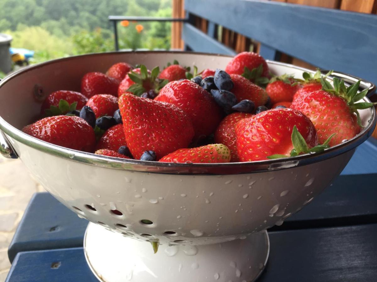 Rose Hip Hill Farm Bed & Breakfast Valea Tirnei Bagian luar foto