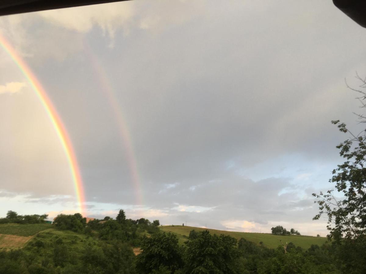 Rose Hip Hill Farm Bed & Breakfast Valea Tirnei Bagian luar foto