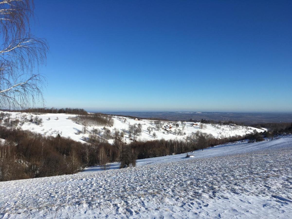 Rose Hip Hill Farm Bed & Breakfast Valea Tirnei Bagian luar foto