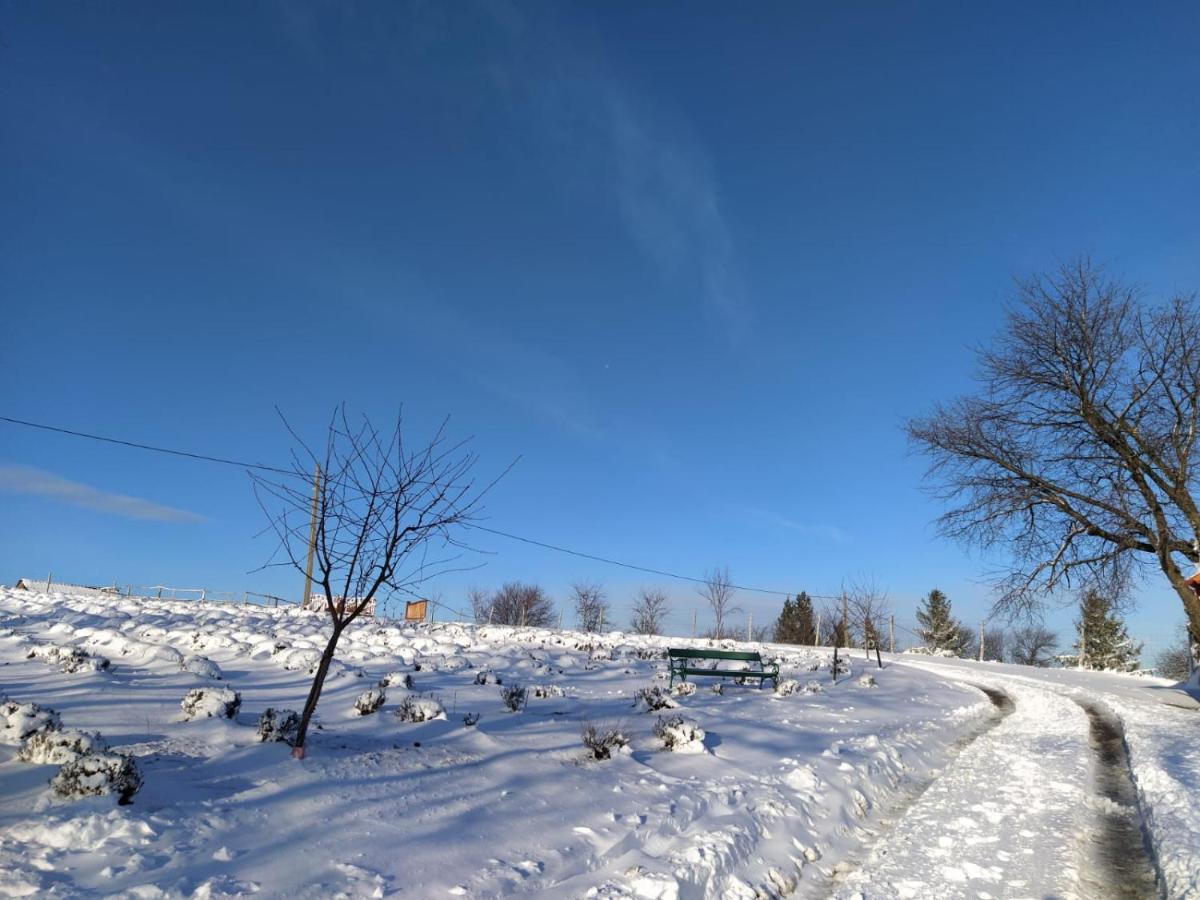 Rose Hip Hill Farm Bed & Breakfast Valea Tirnei Bagian luar foto