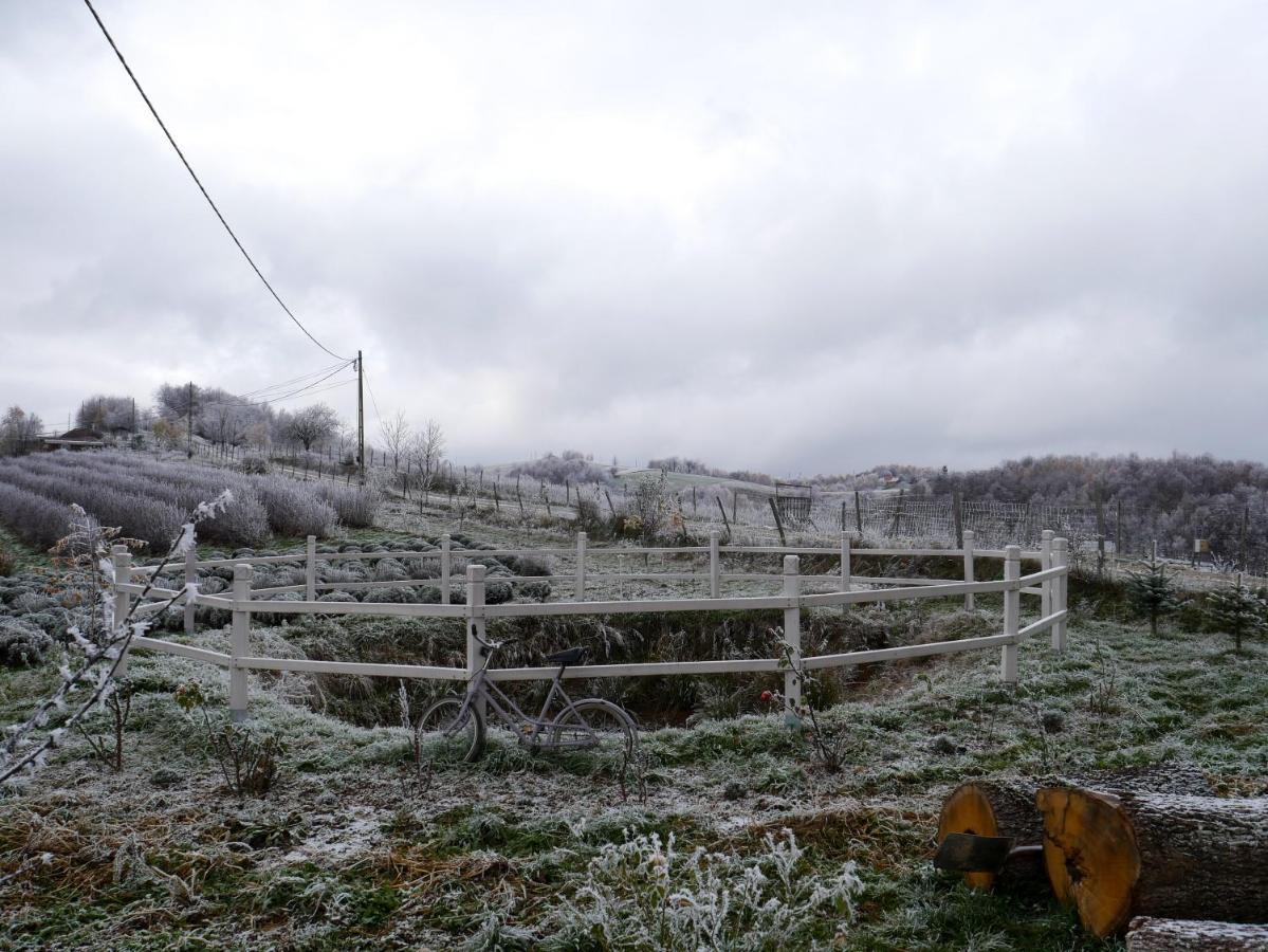 Rose Hip Hill Farm Bed & Breakfast Valea Tirnei Bagian luar foto
