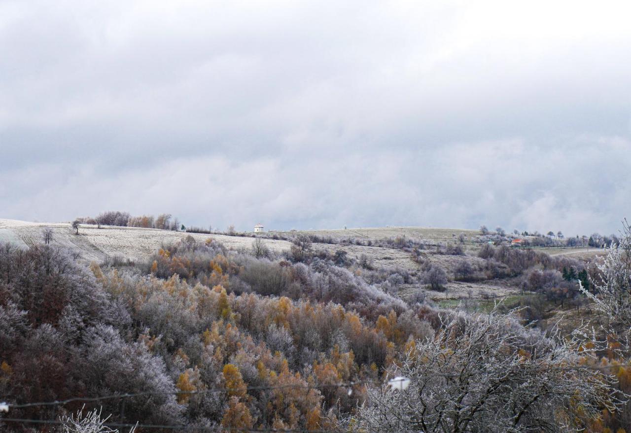 Rose Hip Hill Farm Bed & Breakfast Valea Tirnei Bagian luar foto